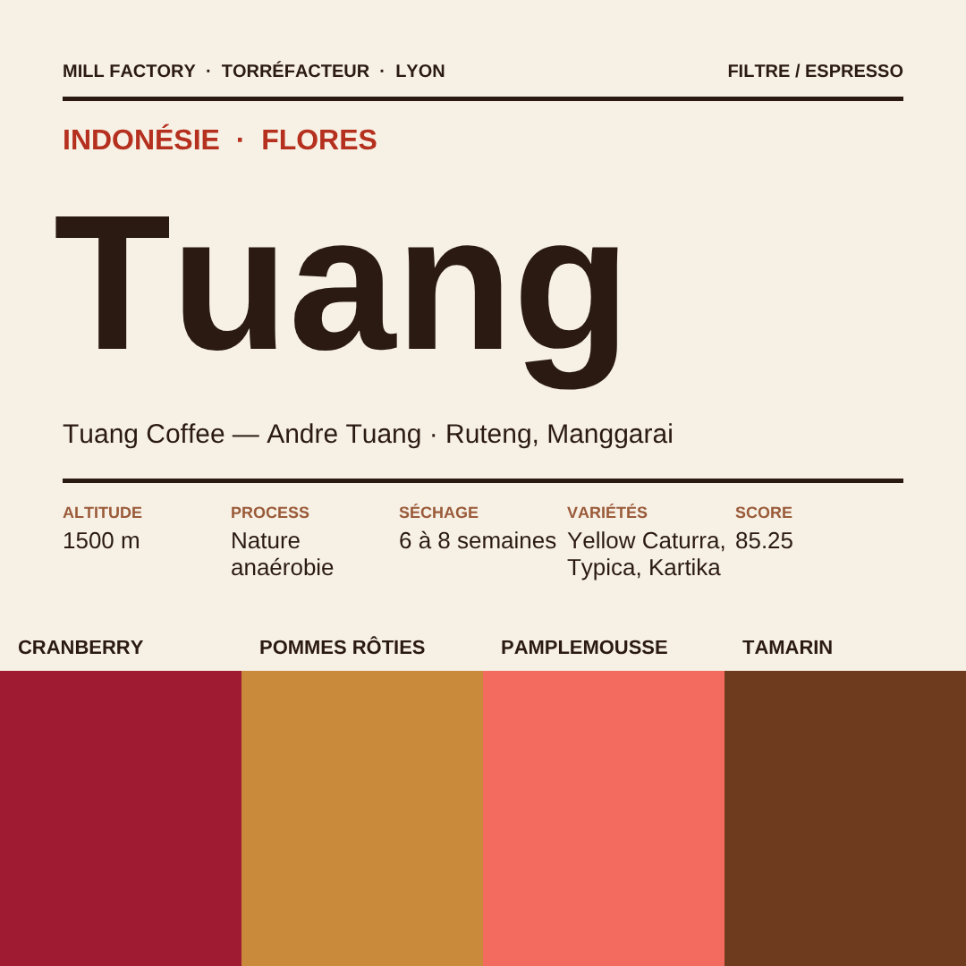 Café Tuang, Indonésie