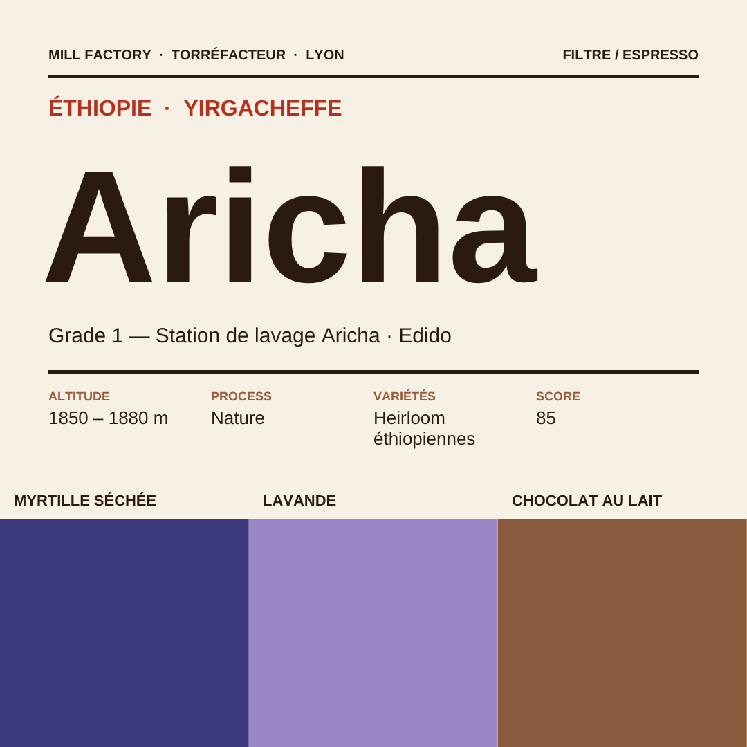 Café Aricha, Éthiopie