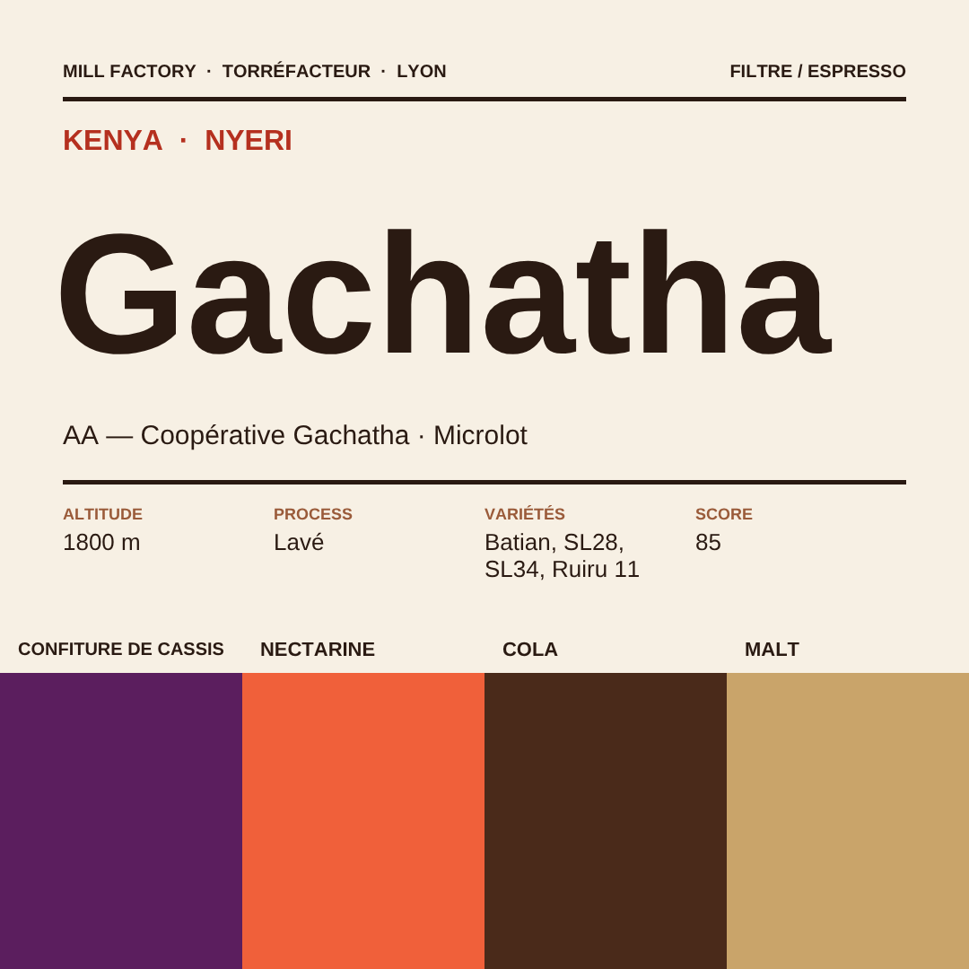 Café Gachatha, Kenya