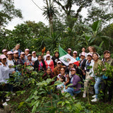 Mexico (Vayichil - Decaf)