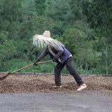 Ethiopie (Taferi Kela)