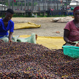 Ouganda (TCY - Muki Fruity)